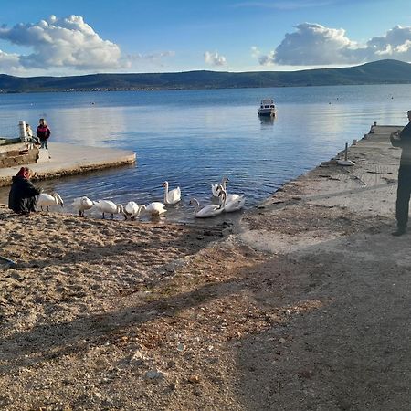 Crancina Apartment Sveti Filip i Jakov Bagian luar foto